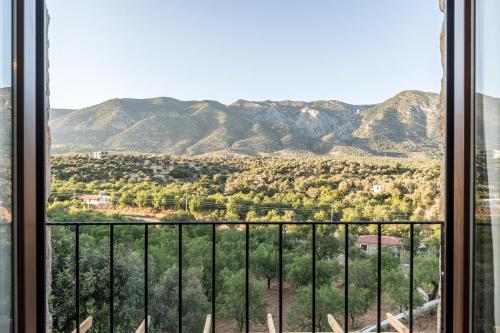 Imagen de la habitación del Karia Hotel Palamutb&uuml;k&uuml;. Foto 6