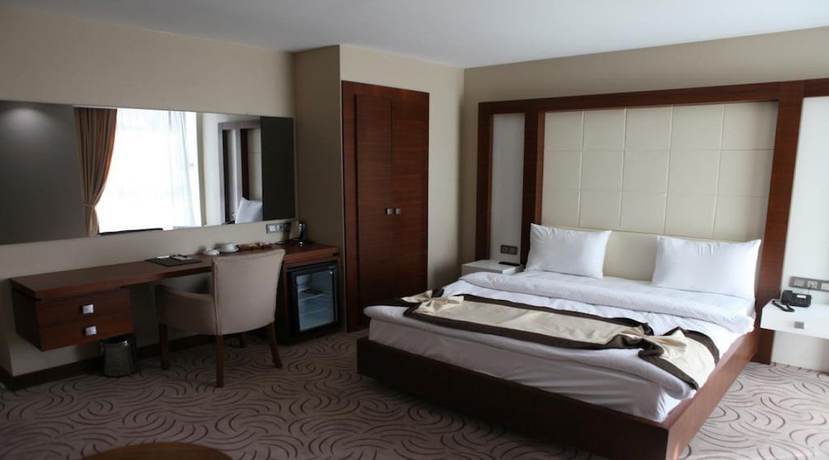 Imagen de la habitación del Kars Park Hotel. Foto 5