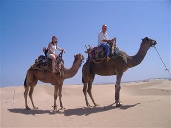 Imagen general del Kasbah ait abou. Foto 3