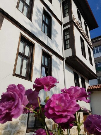 Imagen general del Kastamonu Kadioglu Konagi. Foto 12