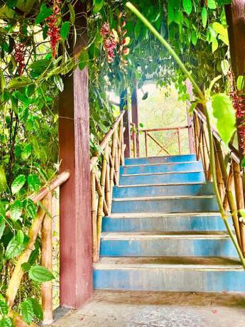 Imagen general del Kavya Home Stay. Foto 11