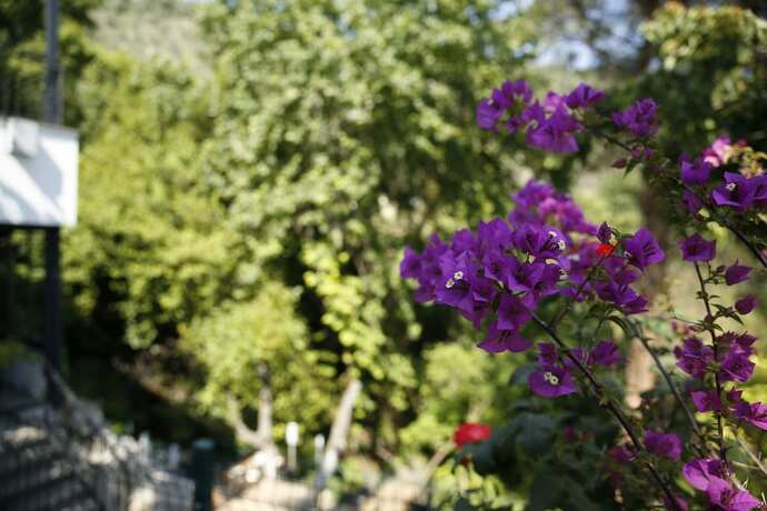 Imagen general del Kazdagları Saglikli Yasam Tatil Koyu. Foto 1