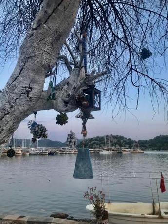 Imagen general del Kekova Pansiyon. Foto 4