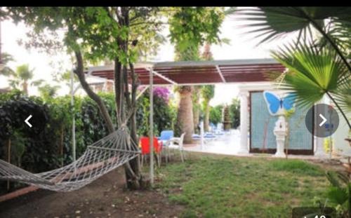 Imagen general del Kelebek Apart Hotel. Foto 7