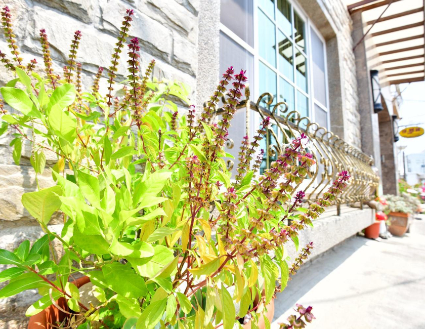 Imagen general del Kenting Garden Homestay. Foto 13