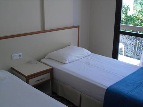 Imagen de la habitación del Kerman Hotel. Foto 1
