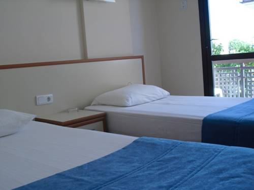 Imagen de la habitación del Kerman Hotel. Foto 2