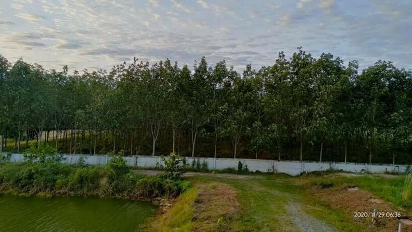 Imagen general del Khao-Cha-Ngok View Box. Foto 2