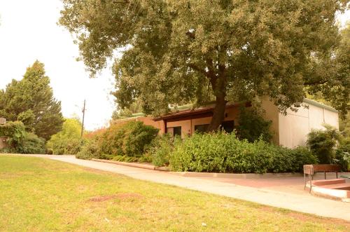 Imagen general del Kibbutz Gadot Guesthouse. Foto 1