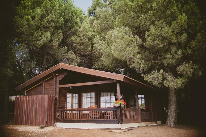 Imagen general del Kibbutz Ortal Tourism. Foto 1