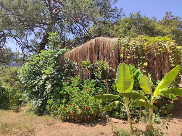 Imagen de la habitación del Kidrak Camping Namaste. Foto 14