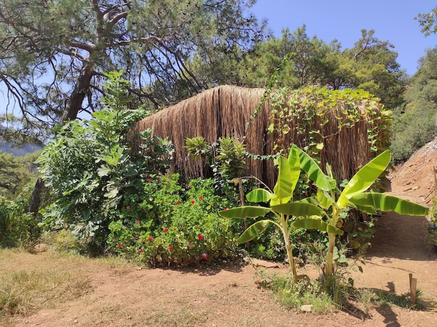Imagen de la habitación del Kidrak Camping Namaste. Foto 15