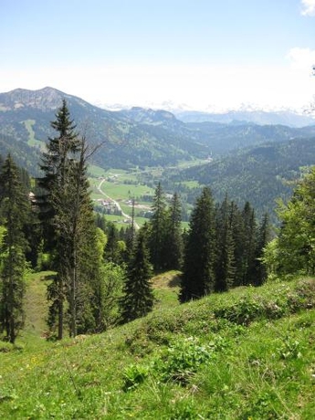 Imagen general del Kienles Adlerk&ouml;nig. Foto 3