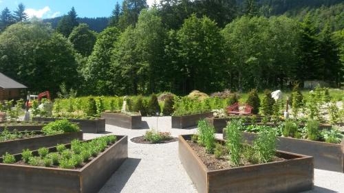 Imagen general del Kienles Adlerk&ouml;nig. Foto 6