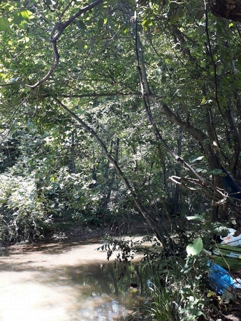 Imagen de los exteriores del Kirkahvesi Garden - Campsite. Foto 5