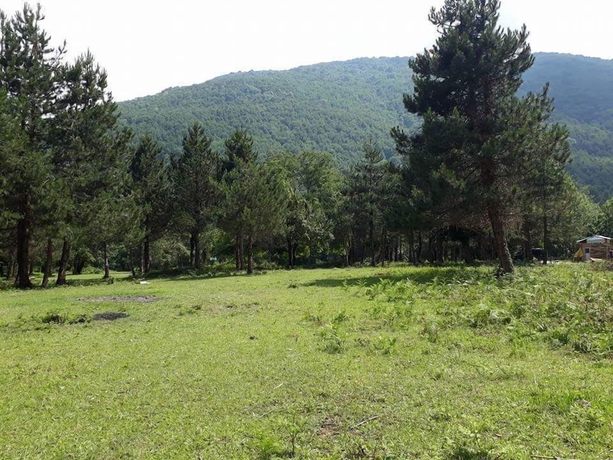 Imagen de los exteriores del Kirkahvesi Garden - Campsite. Foto 11
