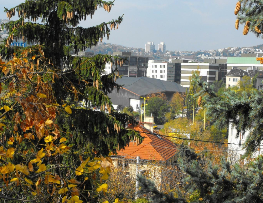 Imagen general del Kis Gellert Guesthouse. Foto 15