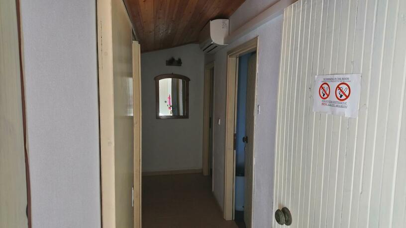 Imagen general del Kiwi Kastle. Foto 26