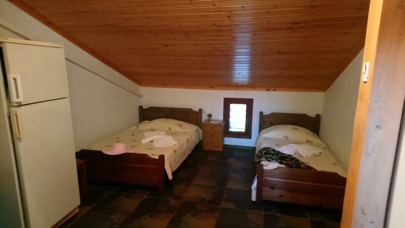 Imagen general del Kiwi Kastle. Foto 28