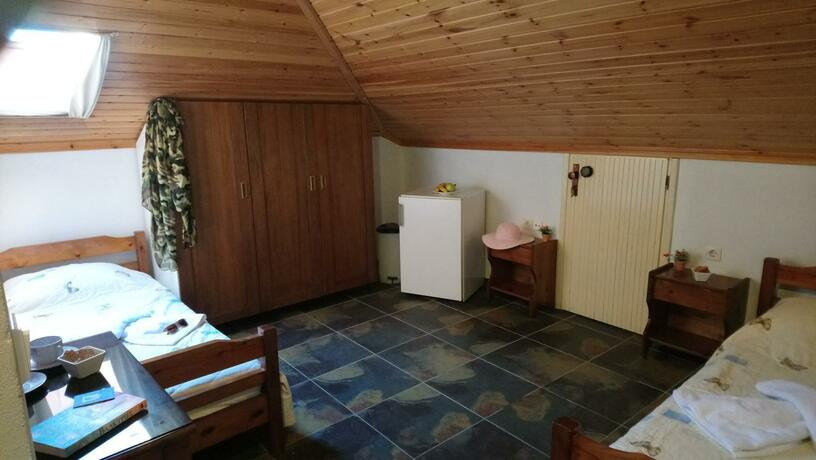 Imagen general del Kiwi Kastle. Foto 29