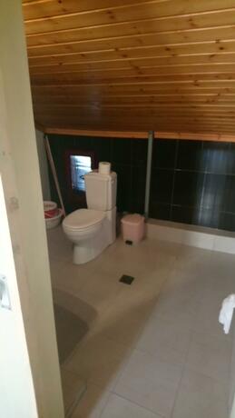 Imagen general del Kiwi Kastle. Foto 45