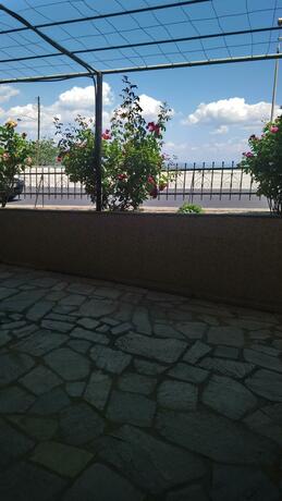 Imagen general del Kiwi Kastle. Foto 46