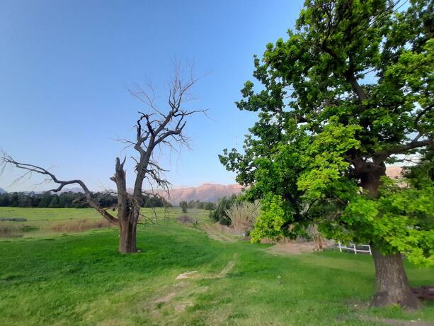 Imagen general del Klipfontein Rustic Farm & Camping. Foto 20