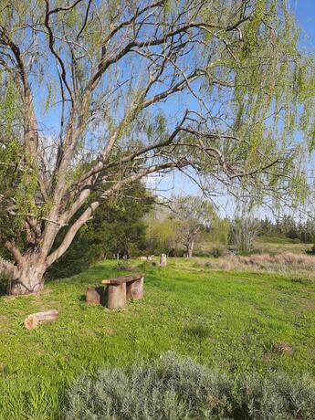 Imagen general del Klipfontein Rustic Farm & Camping. Foto 21