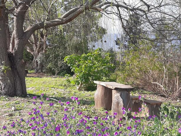 Imagen general del Klipfontein Rustic Farm & Camping. Foto 22