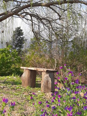 Imagen general del Klipfontein Rustic Farm & Camping. Foto 23