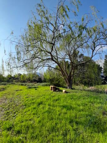 Imagen general del Klipfontein Rustic Farm & Camping. Foto 40