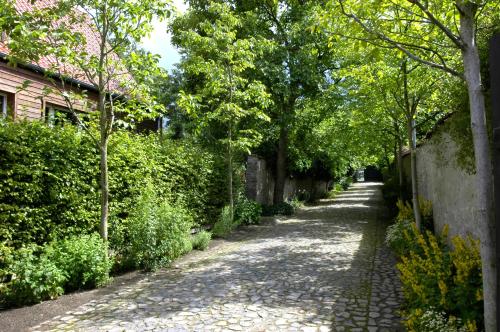 Imagen general del Kloster Dr&uuml;beck. Foto 5