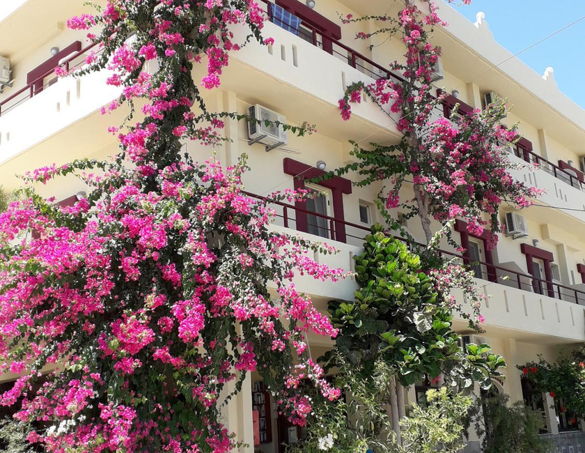 Imagen general del Knossos Hotel. Foto 1