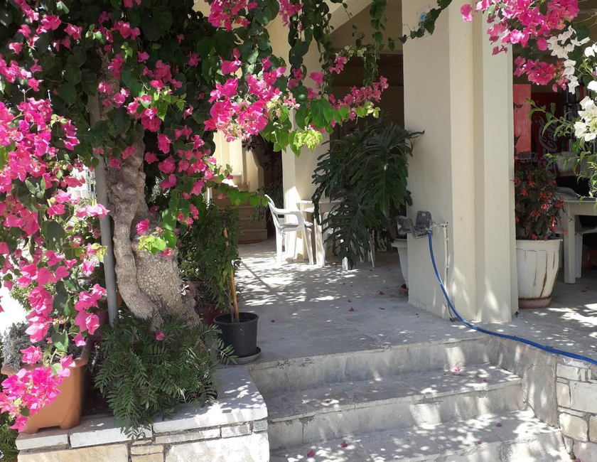 Imagen general del Knossos Hotel. Foto 2