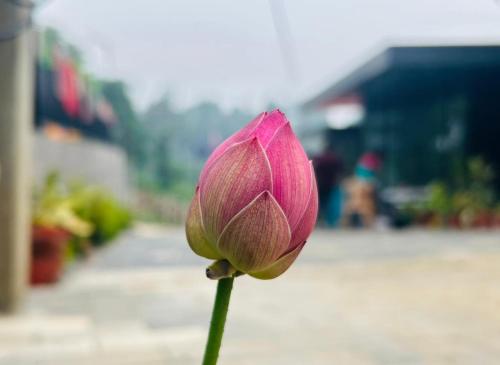 Imagen general del Konfudha Resort. Foto 2