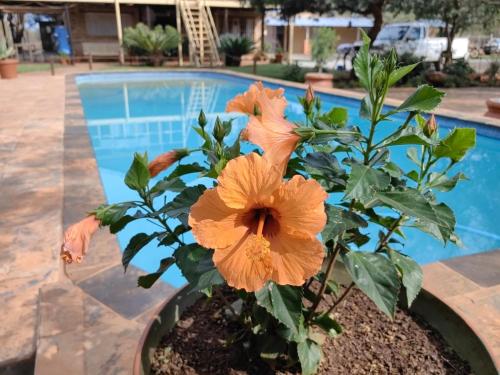 Imagen general del Kono Kono Guesthouse. Foto 10