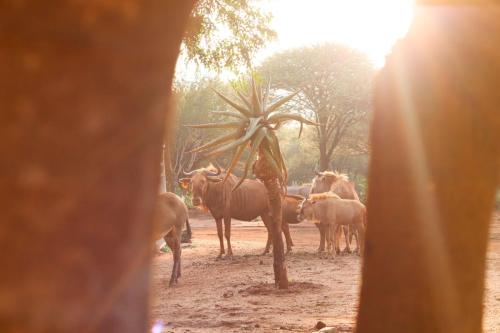 Imagen general del Kono Kono Guesthouse. Foto 13