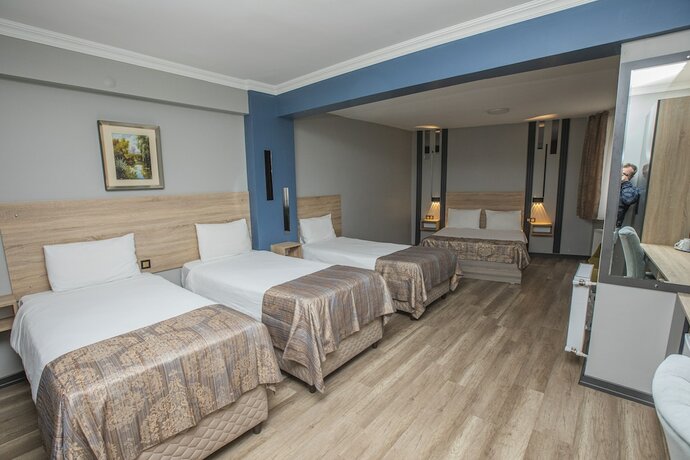 Imagen de la habitación del Konuk Hotel, Eskişehir. Foto 23