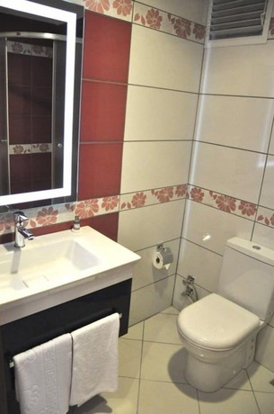 Imagen de la habitación del Konuk Hotel, Gerede. Foto 14