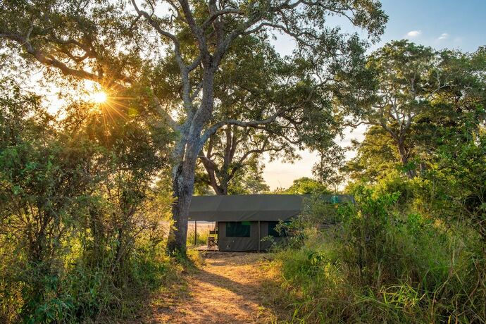 Imagen de la habitación del Kruger Untamed - Tshokwane River Camp. Foto 20