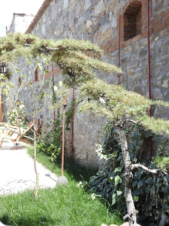 Imagen de los exteriores del Kucukkoy Hotel. Foto 19