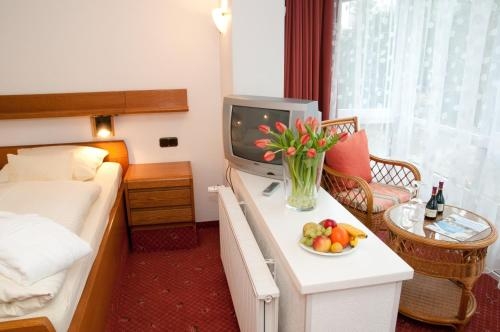 Imagen general del Kur- Und Gesundheitshotel Zum Goldenen Hirsch. Foto 3