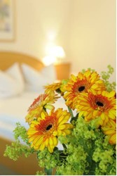 Imagen general del Kurhotel K&ouml;nigshof. Foto 2