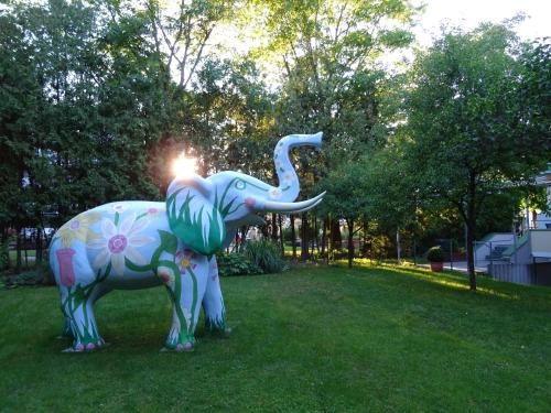 Imagen general del Kurhotel Regina. Foto 2