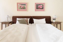 Imagen general del Kurhotel Schatzberger. Foto 3