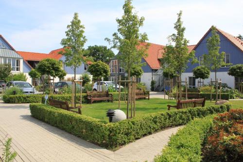 Imagen general del Kurmittelcentrum Zingst. Foto 1