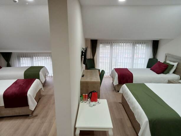 Imagen de la habitación del Kurt Otel. Foto 11