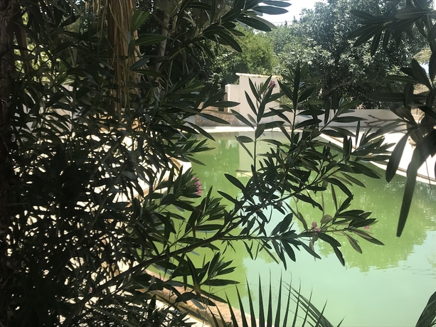 Imagen de la piscina del Kur-tur Otel. Foto 13