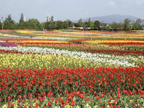 Imagen general del Kuwana Park Hotel - Vacation STAY 66850v. Foto 11