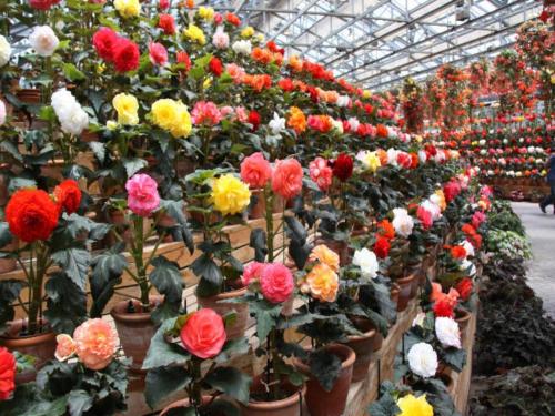 Imagen general del Kuwana Park Hotel - Vacation STAY 66850v. Foto 12